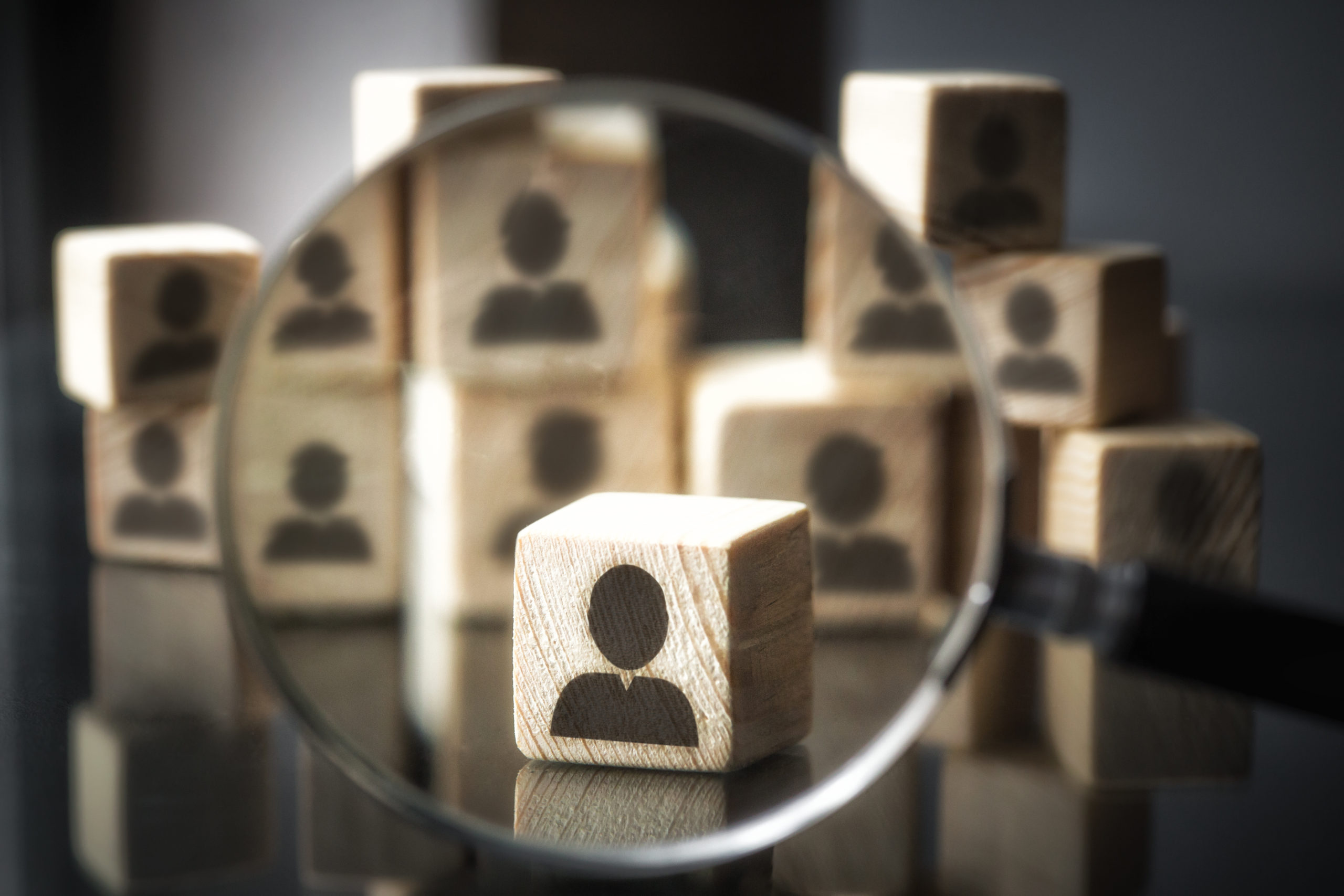 EMPLOYMENT LAW